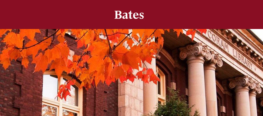 Visiting Assistant Professor of Art and Visual Culture, Bates College lead image