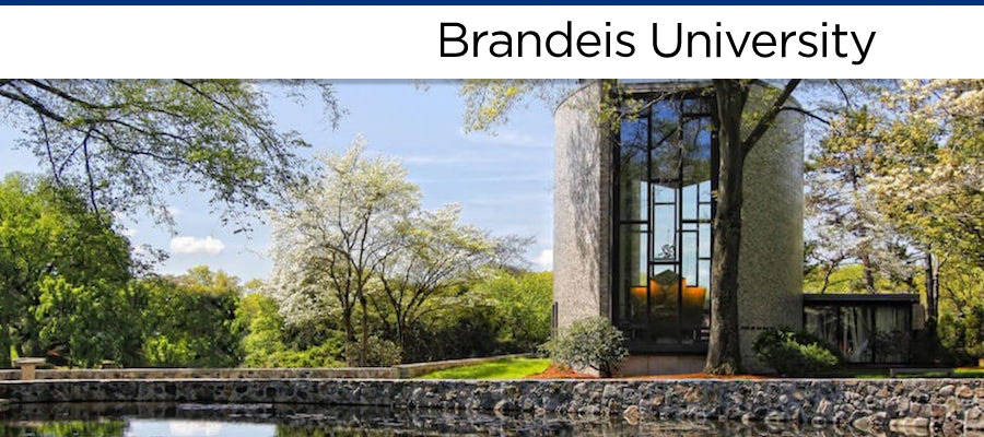 Assistant Professor, Ancient Greek History, Brandeis University lead image