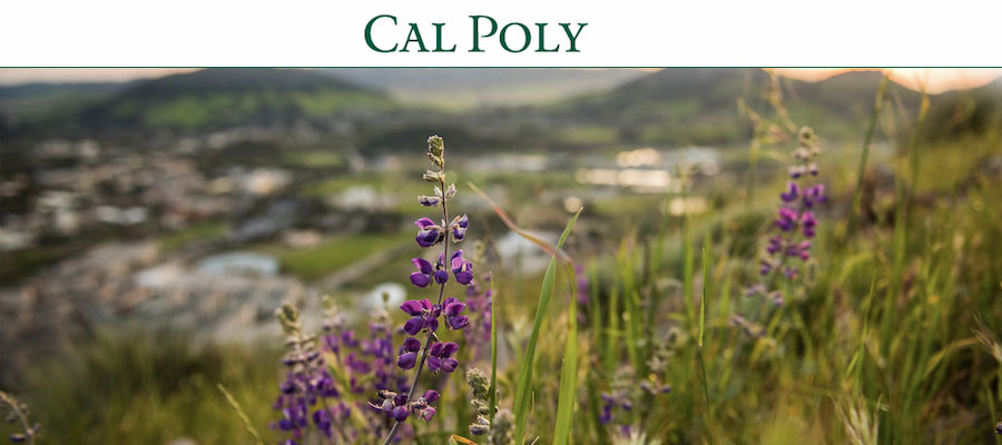 Assistant Professor, Ancient History, California Polytechnic State University - San Luis Obispo lead image