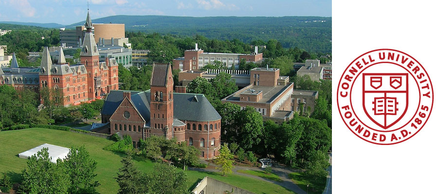 Mellon Postdoctoral Fellowship in Near Eastern Studies, 2024–2026, Cornell University lead image