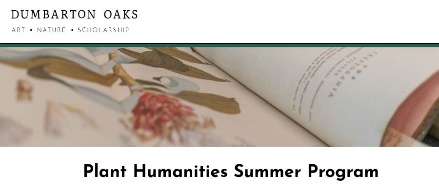 Dumbarton Oaks Plant Humanities Summer Program 2020 lead image