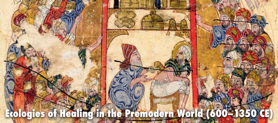 Ecologies of Healing in the Premodern World (600–1350 CE) lead image