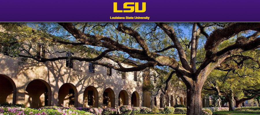 Assistant Professor in Medieval Art History, Louisiana State University lead image