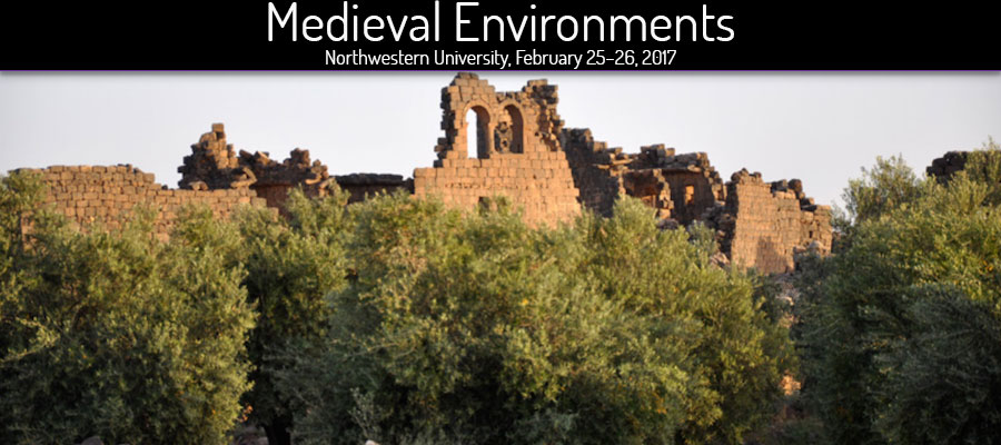 Medieval Environments lead image