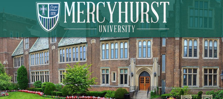 Visiting Assistant Professor of History, Mercyhurst University lead image