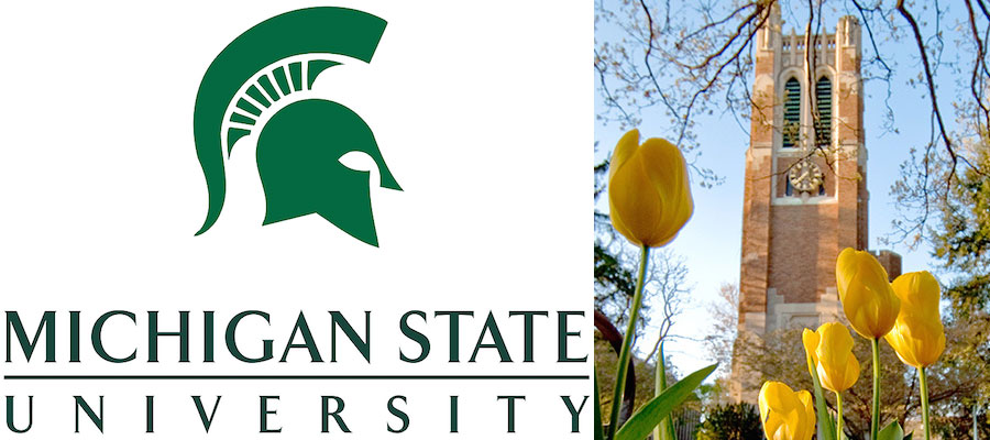 Department of Art, Art History, and Design Chairperson, Michigan State University lead image