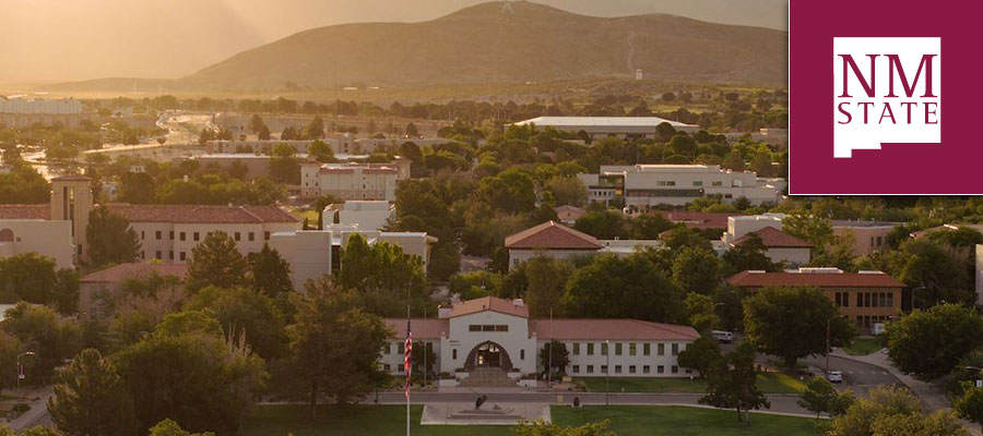 Assistant Professor of Ancient History, New Mexico State University lead image