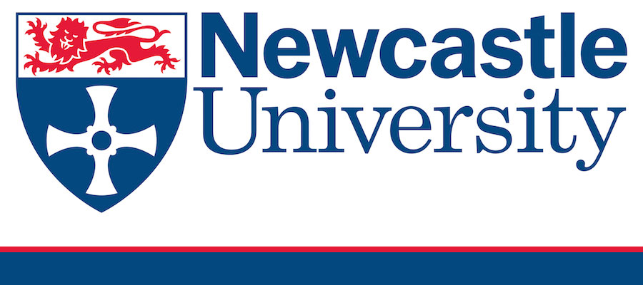 Temporary Lecturer in Medieval Archaeology, Newcastle University lead image