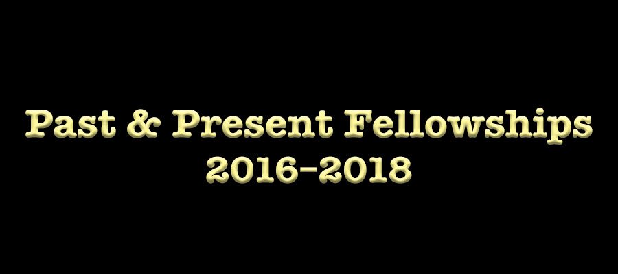 2016–2018 Past & Present Fellowships lead image