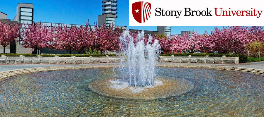 Assistant Professor, Late Antique/Medieval History, SUNY-Stony Brook lead image