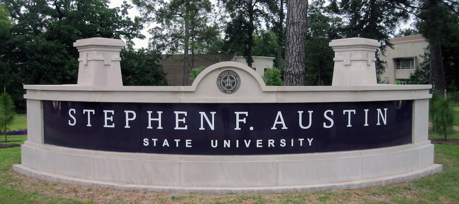 Assistant Professor, Ancient and/or Medieval History, Stephen F. Austin State University lead image