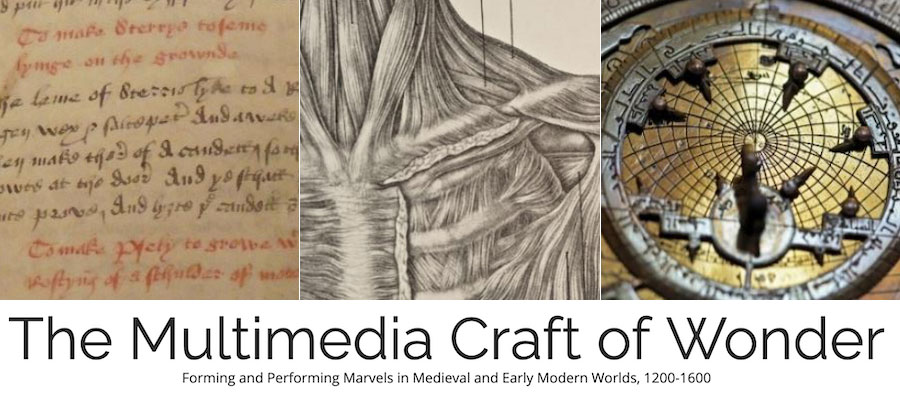 The Multimedia Craft of Wonder: Forming and Performing Marvels in Medieval and Early Modern Worlds, 1200–1600 lead image