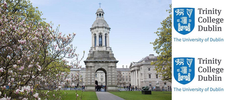 Assistant Professor, Late Antique and Byzantine Studies, Trinity College Dublin lead image