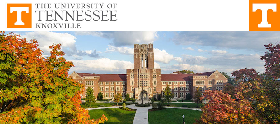 Assistant Professor in Medieval or Renaissance Art History, University of Tennessee, Knoxville lead image