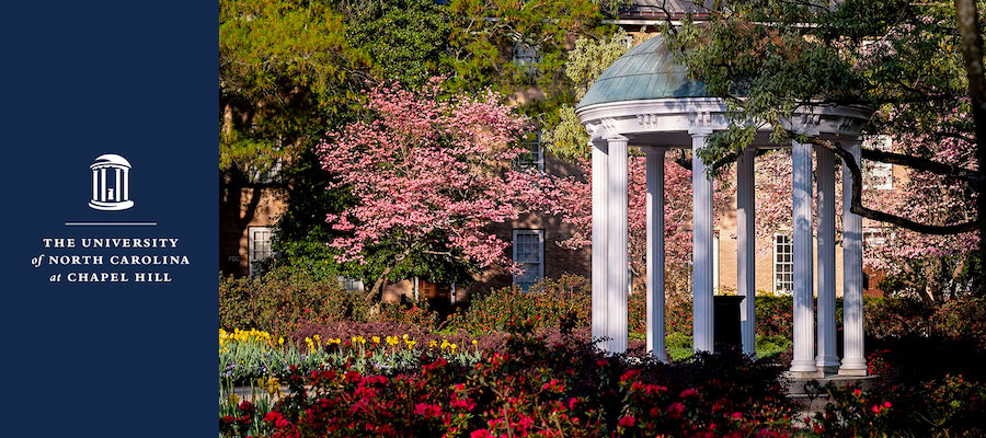 Assistant Professor in Classical Archaeology and Digital Humanities, UNC Chapel Hill lead image