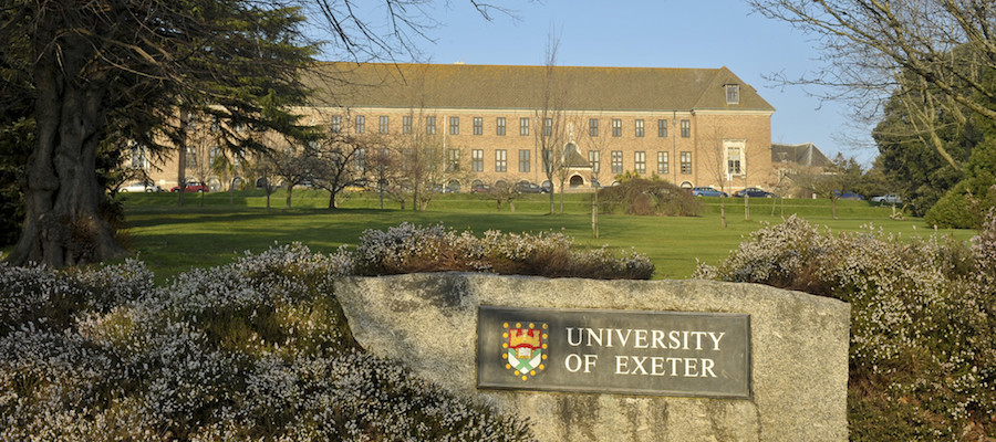 Lecturer in Ancient Visual and Material Culture, University of Exeter lead image