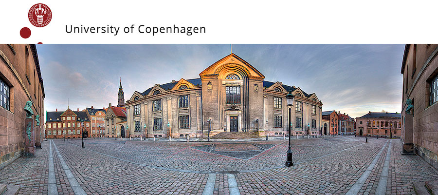 Postdoctoral Position in Textile Archaeology and Sudanese Medieval History (c. 450–1500 CE), University of Copenhagen lead image
