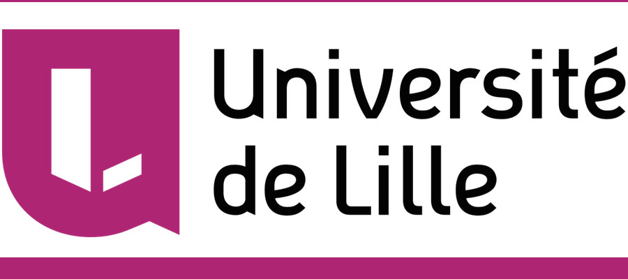 Post-doctoral Researcher - EX-PATRIA, University of Lille lead image