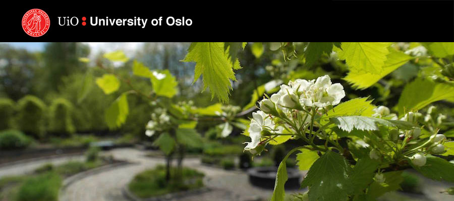 Associate Professor of History of Art and Visual Studies - Medieval Art and Visual Culture, University of Oslo lead image