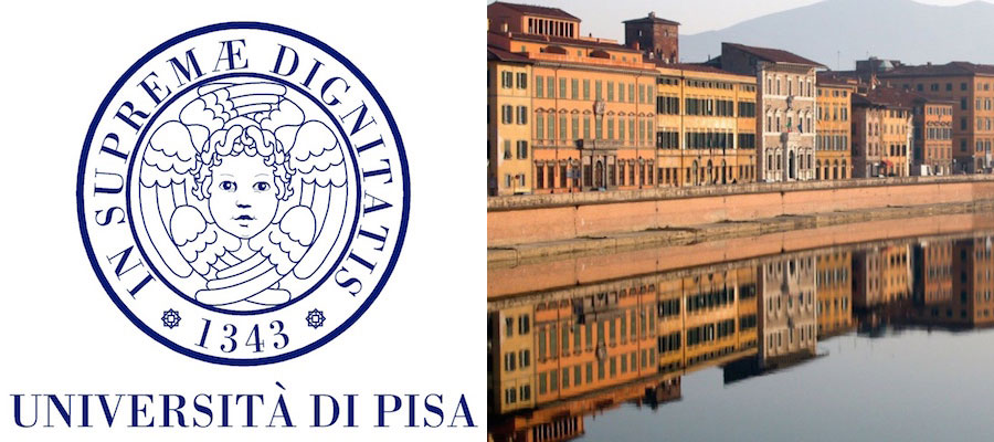 Research Associate, University of Pisa lead image