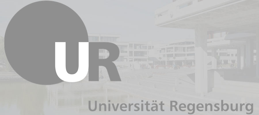 PhD Research Assistants, University of Regensburg lead image