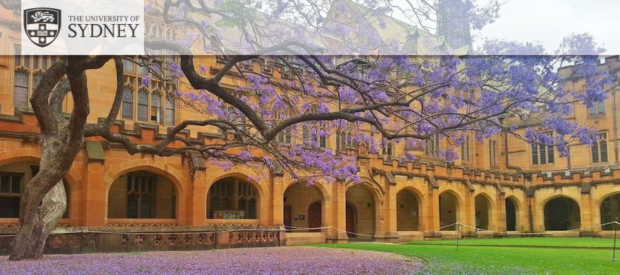 Postdoctoral Fellow in Art History, University of Sydney lead image