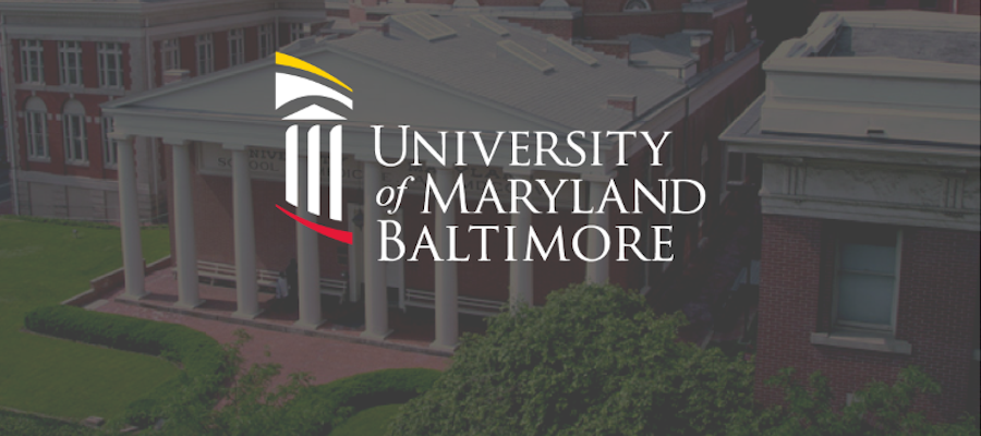 Assistant Professor of Ancient Studies, University of Maryland-Baltimore County lead image