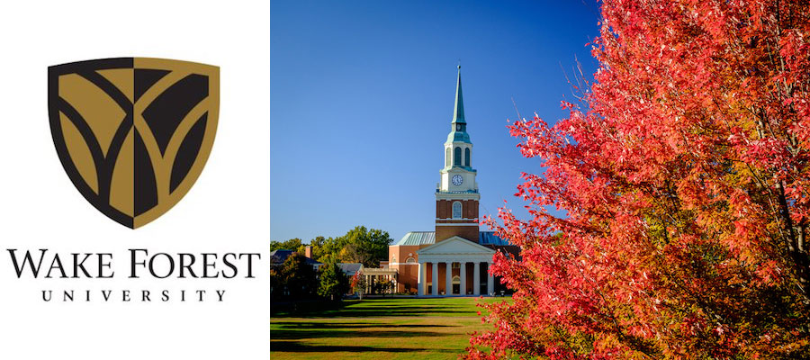 Teacher-Scholar Postdoctoral Fellow, Early Modern Art and Architecture, Wake Forest University lead image