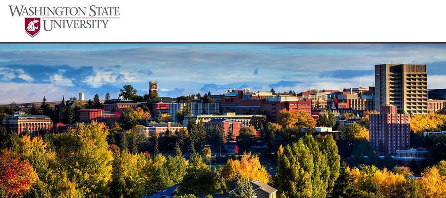 Clinical Assistant Professor of History, Washington State University lead image
