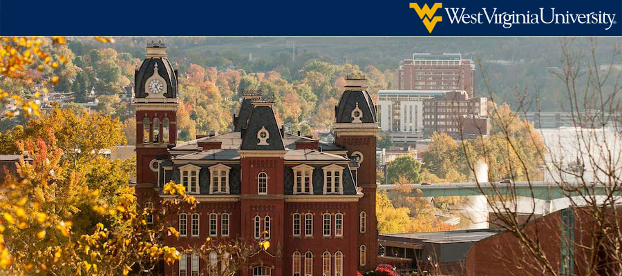 Teaching Assistant Professor of Art History, West Virginia University lead image