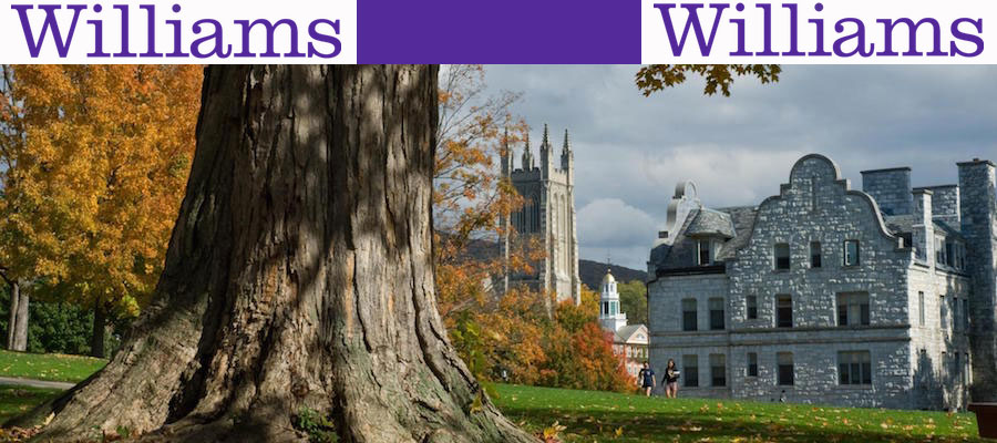 Digital Humanities Postdoctoral Fellow, Williams College lead image