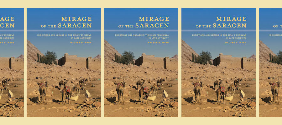 The Mirage of the Saracen: Christians and Nomads in the Sinai Peninsula in Late Antiquity lead image